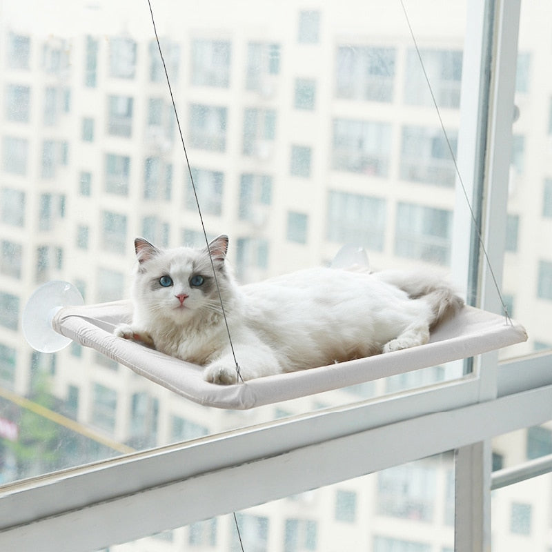 Cute Pet Hanging Beds
