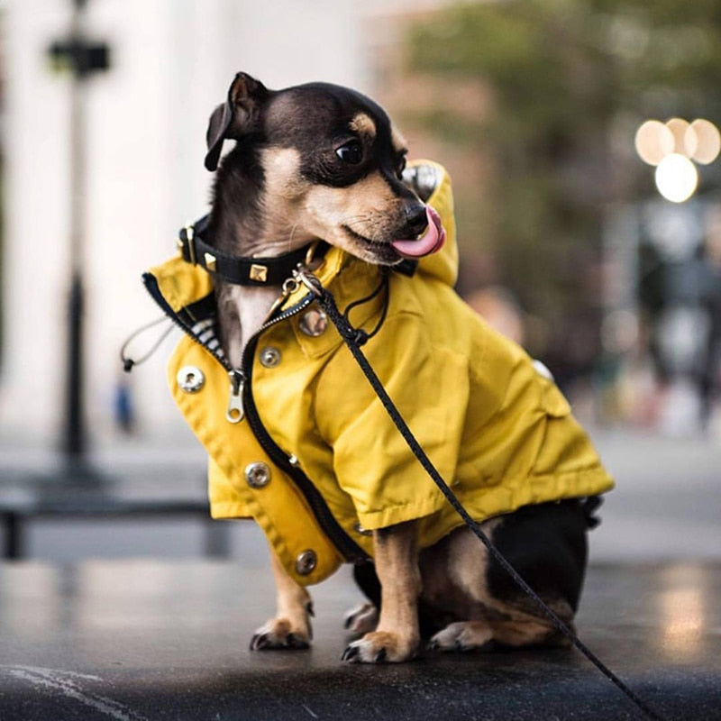 Pet Waterproof Raincoat