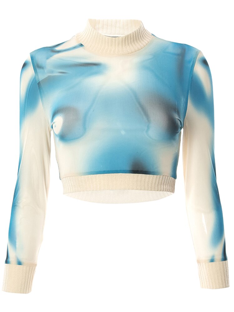 Mesh Long Sleeve Crop Top