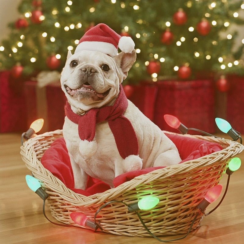 Christmas Plush Santa Hat