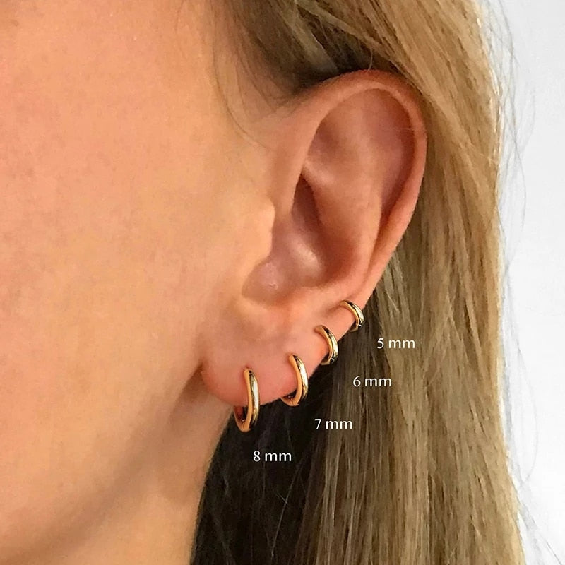 Rose Gold Small Hoop Earrings