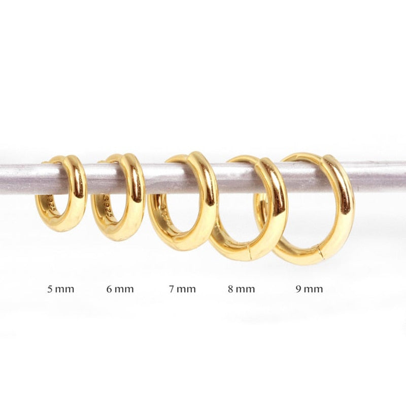 Rose Gold Small Hoop Earrings