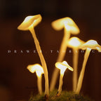 Mushroom Led Night Lamp