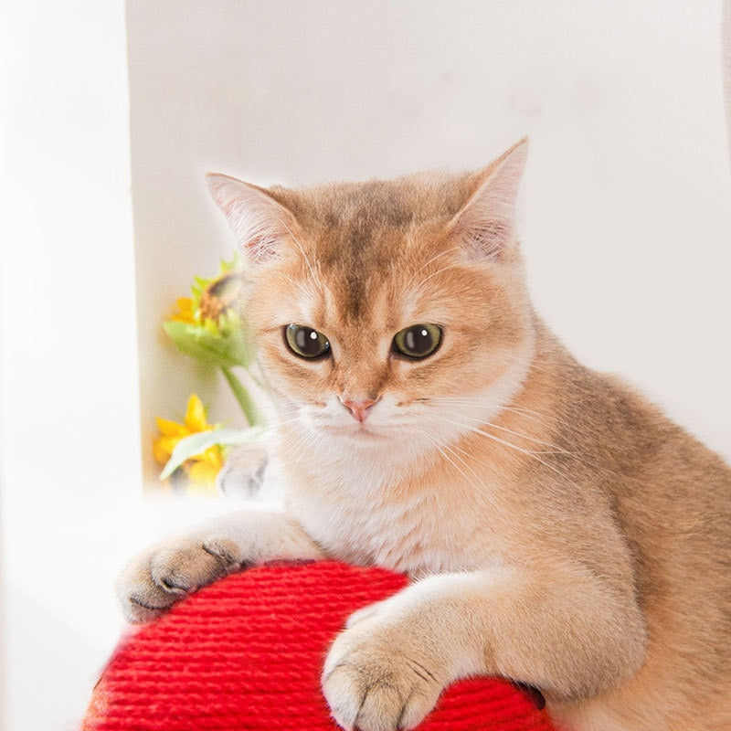 Mushroom Cat Tree Scratcher