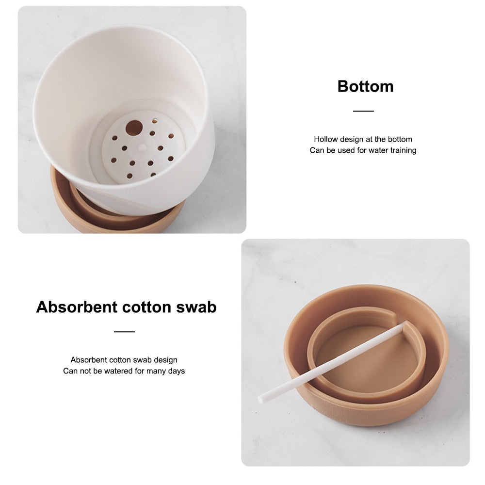 Self Watering Flowerpot