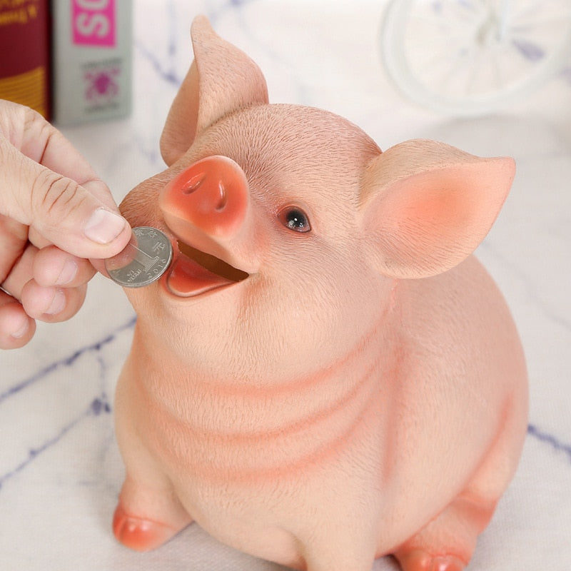 Pig Piggy Bank