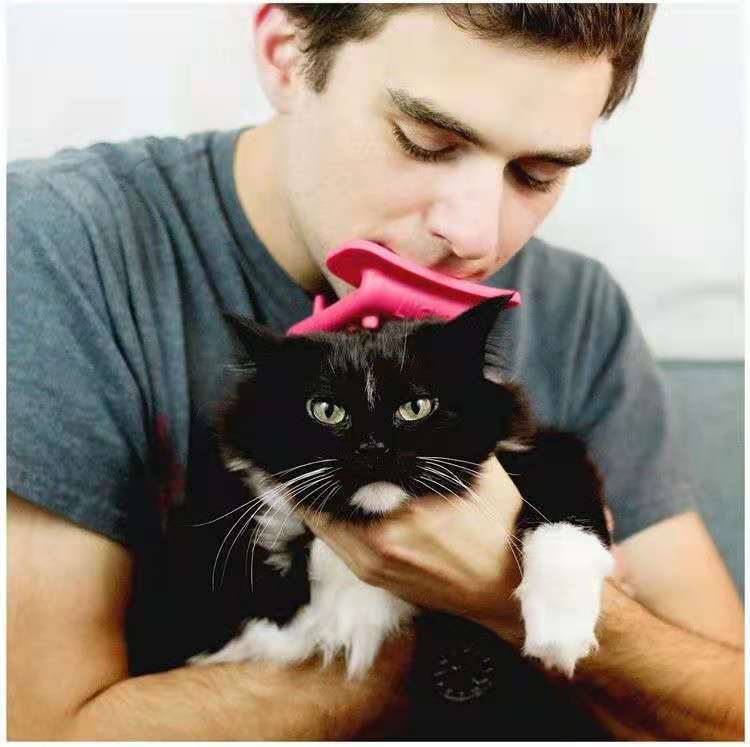 Cat Licking Brush