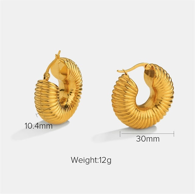 Chunky Hoop Earrings