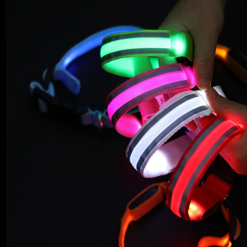 LED Glowing Dog Collar Adjustable Anti-Lost