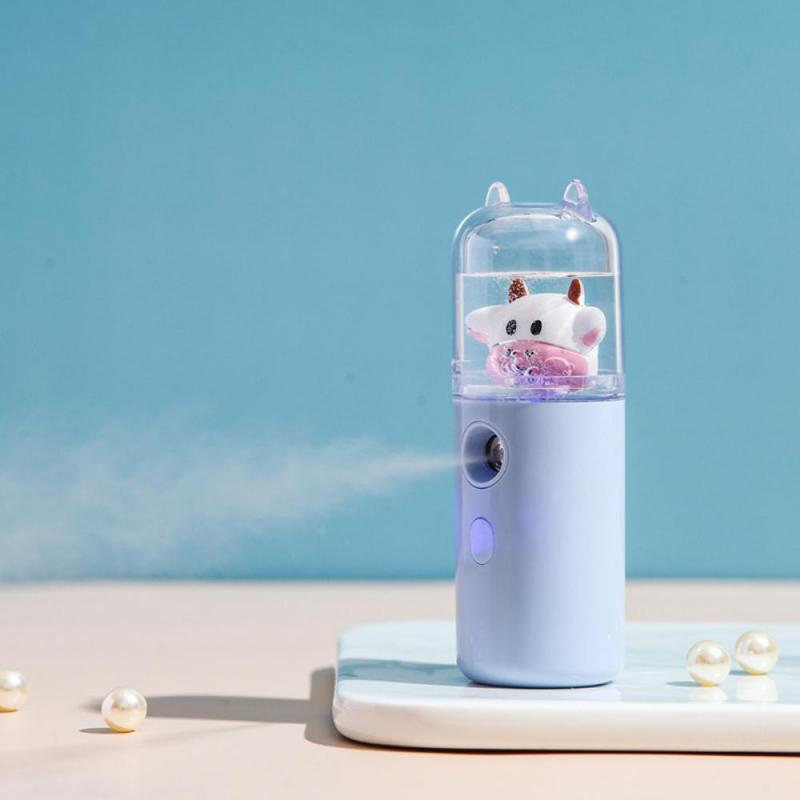 30ml Mini Nano Mist Facial Sprayer