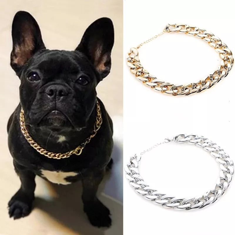 Funny Small Dog Chain