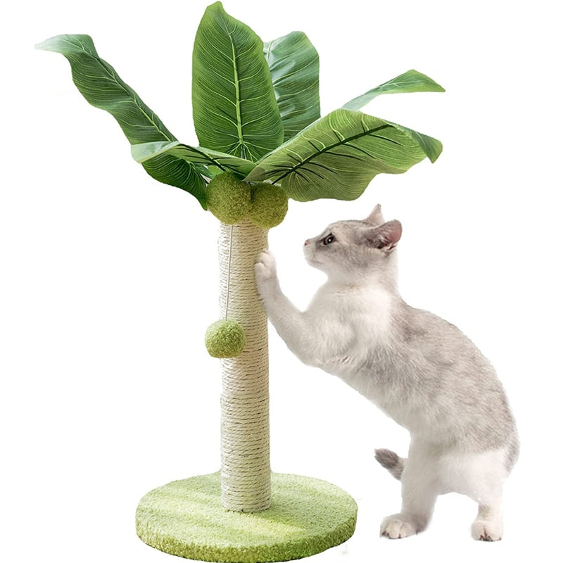 Cat Scratching Palm Tree