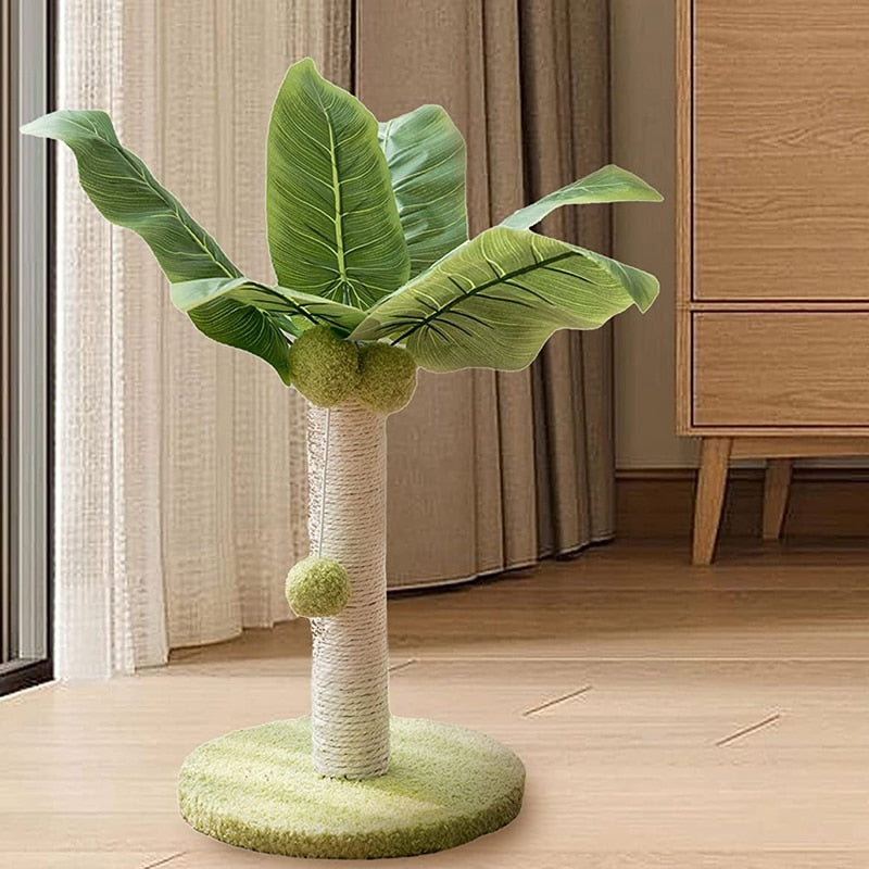 Cat Scratching Palm Tree