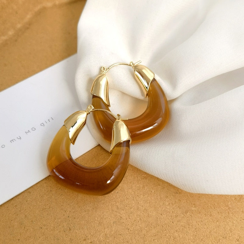 Brown Transparent Resin Geometric Hoop Earrings