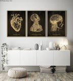 Anatomical Skeleton Chalkboard Poster