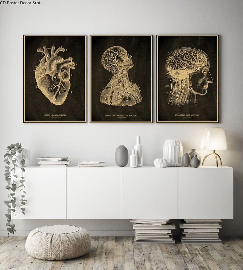 Anatomical Skeleton Chalkboard Poster