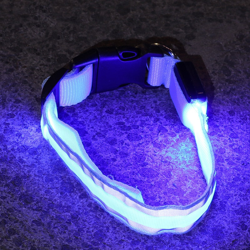 LED Glowing Dog Collar Adjustable Anti-Lost