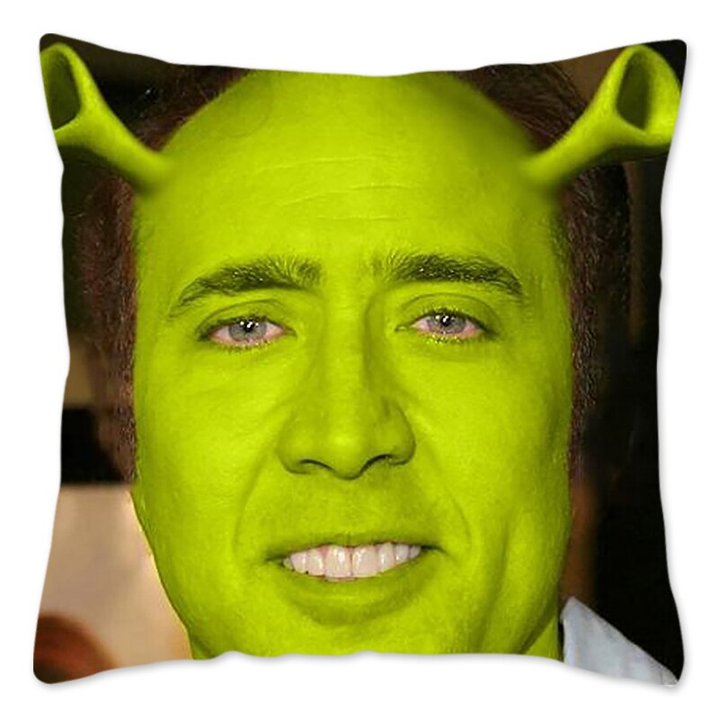 Nicolas Cage Face Pillow