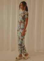 Brown/Blue Graphic Print Maxi Dress