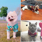 Pet Summer Clothes Hawaiian Style