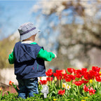 Plant Watering Device