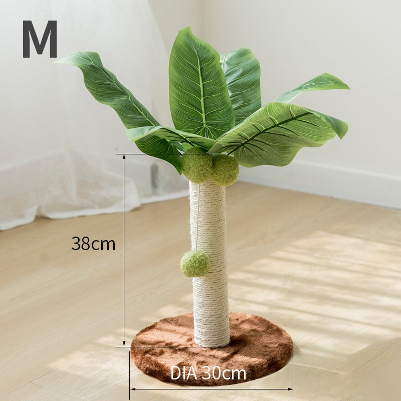 Cat Scratching Palm Tree
