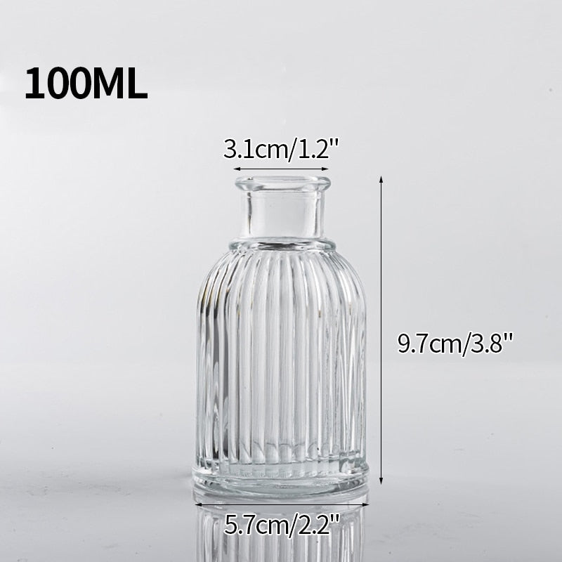 Transparent Glass Vase
