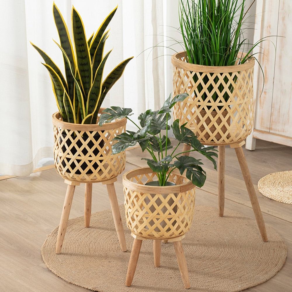 Bamboo Plant Pot