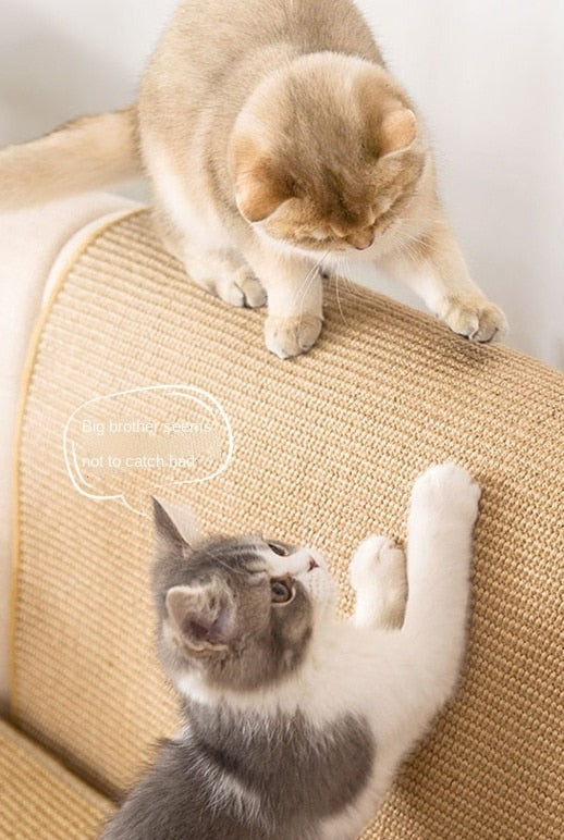 Cat Scratcher Mat Furniture Protector