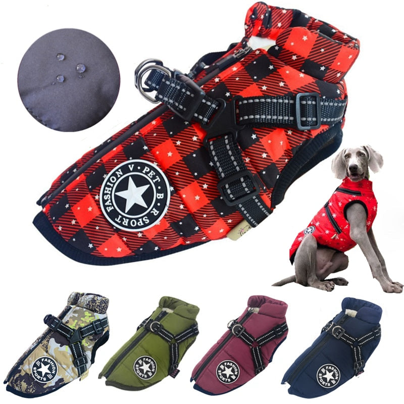 Large Pet Dog Jacket With Harness