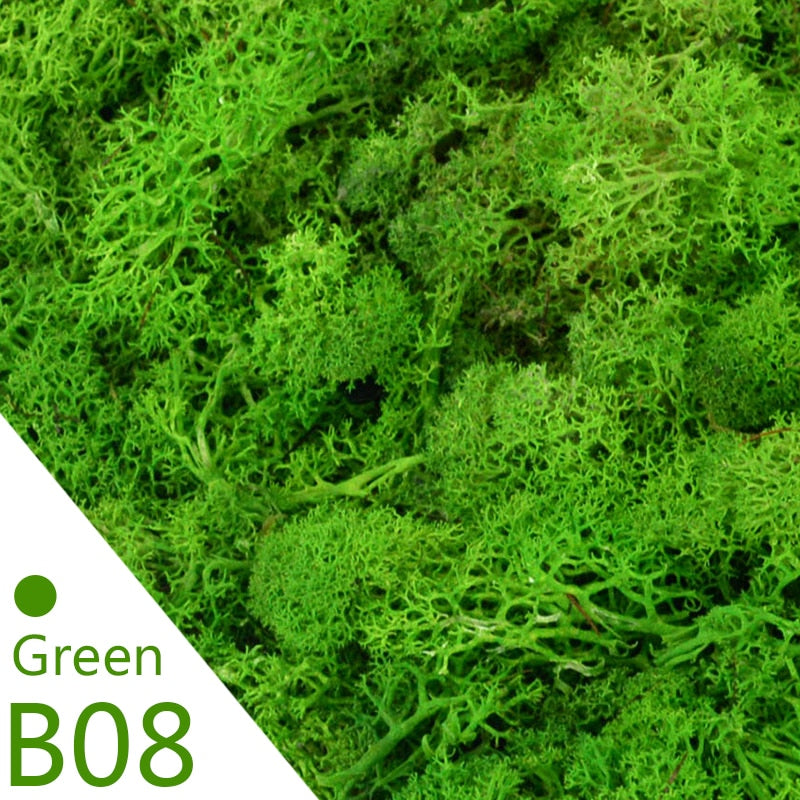 Artificial Moss Green Plant