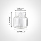 Transparent Glass Vase