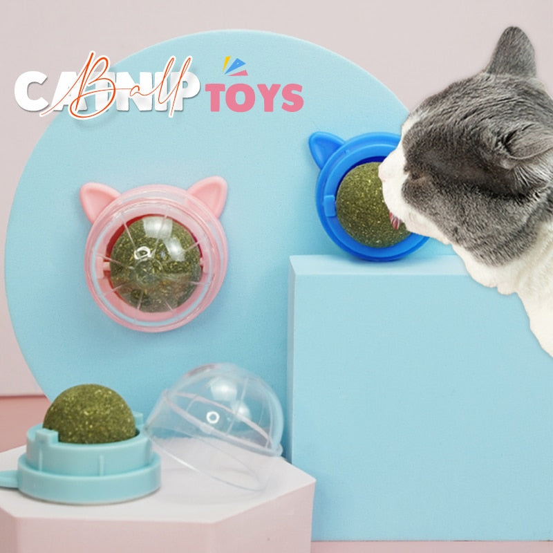 Healthy Cat Catnip Toy Ball