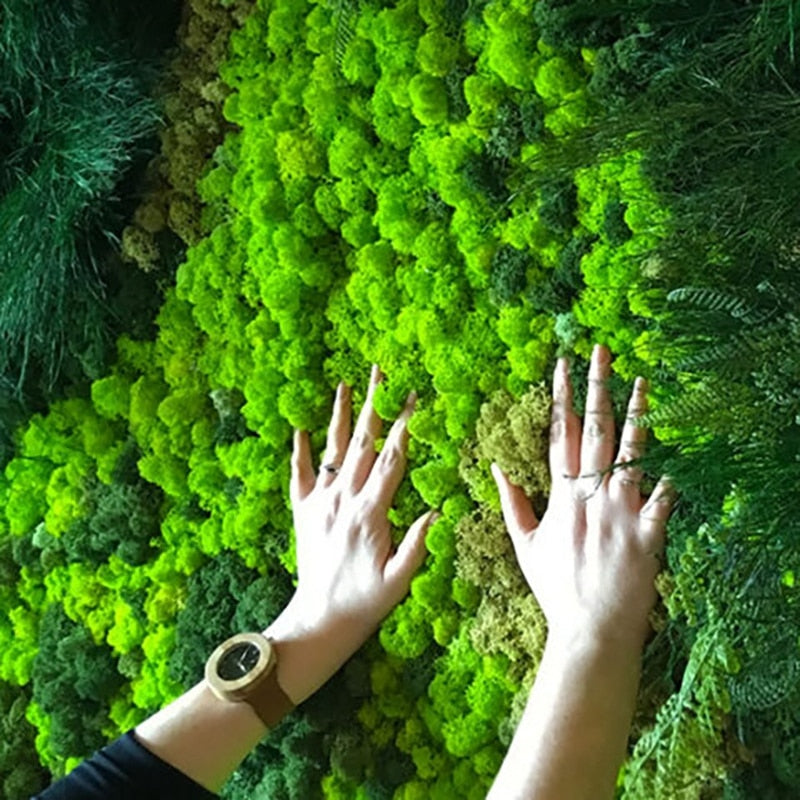 Artificial Moss Green Plant