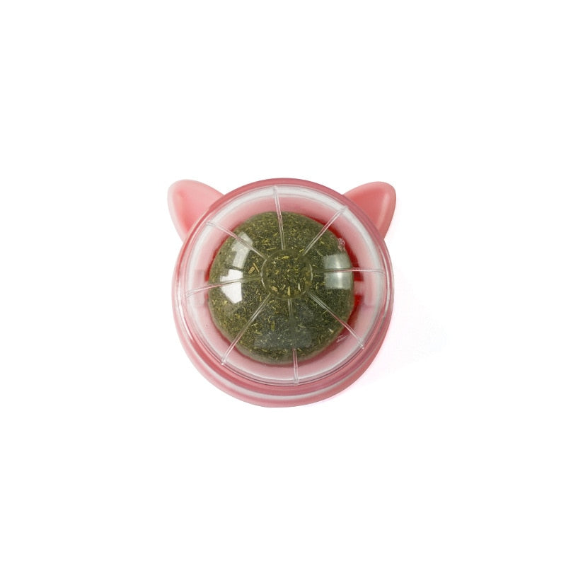 Healthy Cat Catnip Toy Ball