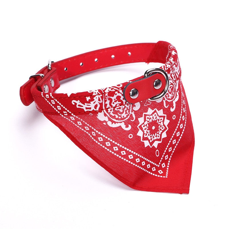 Pet Collar Scarf