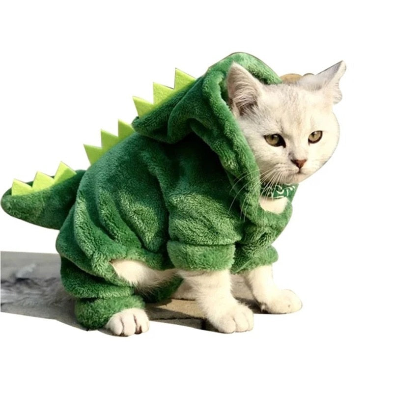 Pet Dinosaur Costume