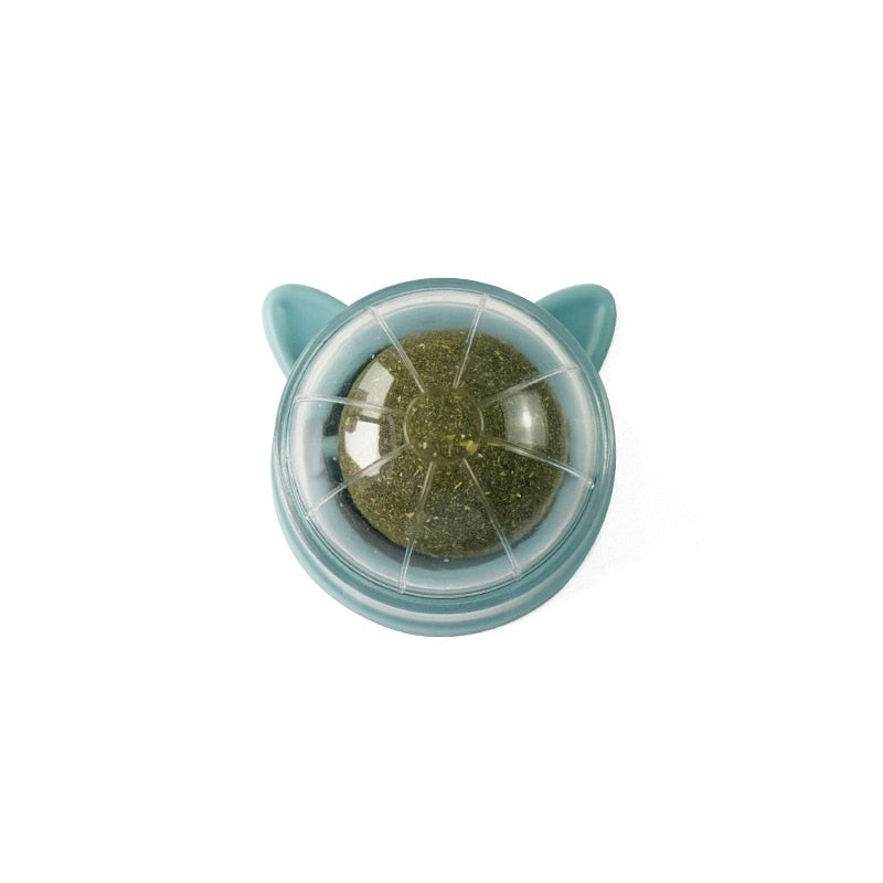 Healthy Cat Catnip Toy Ball