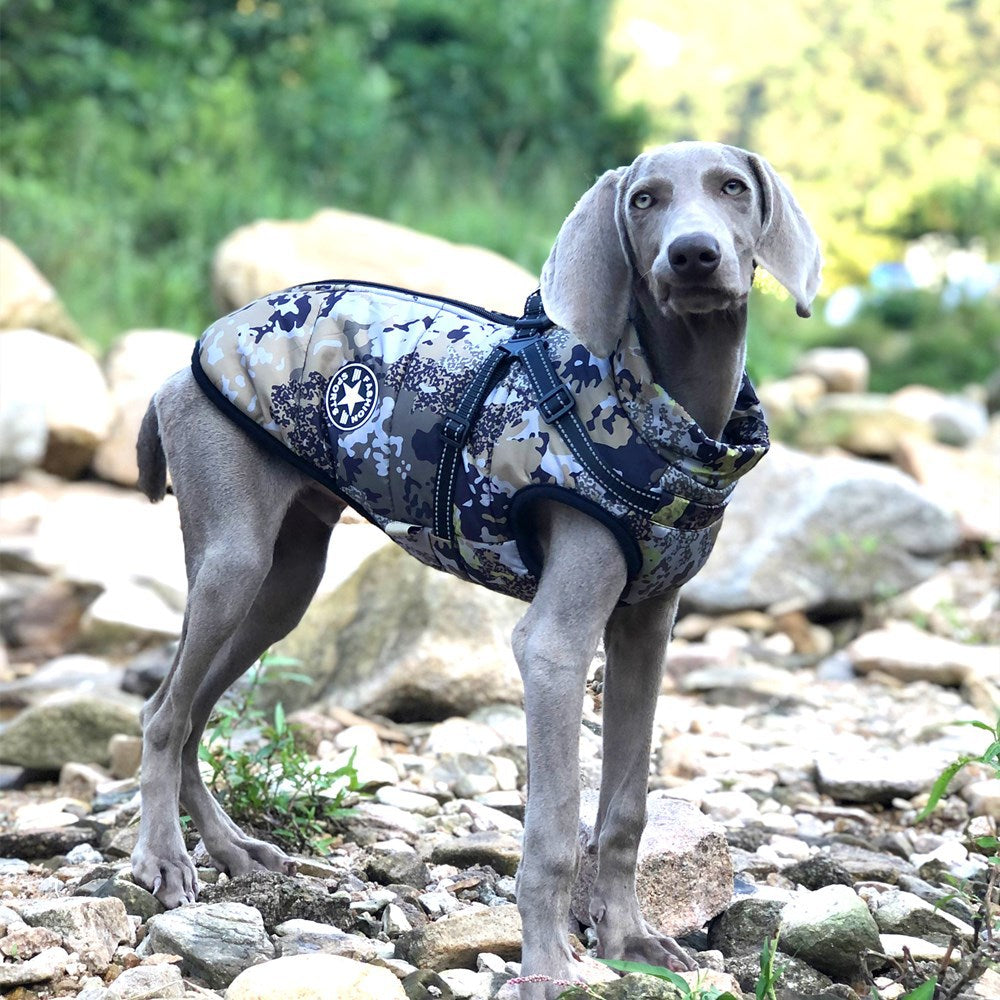 Large Pet Dog Jacket With Harness