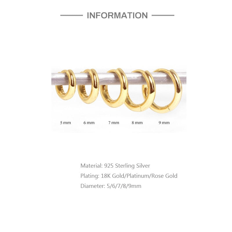 Rose Gold Small Hoop Earrings
