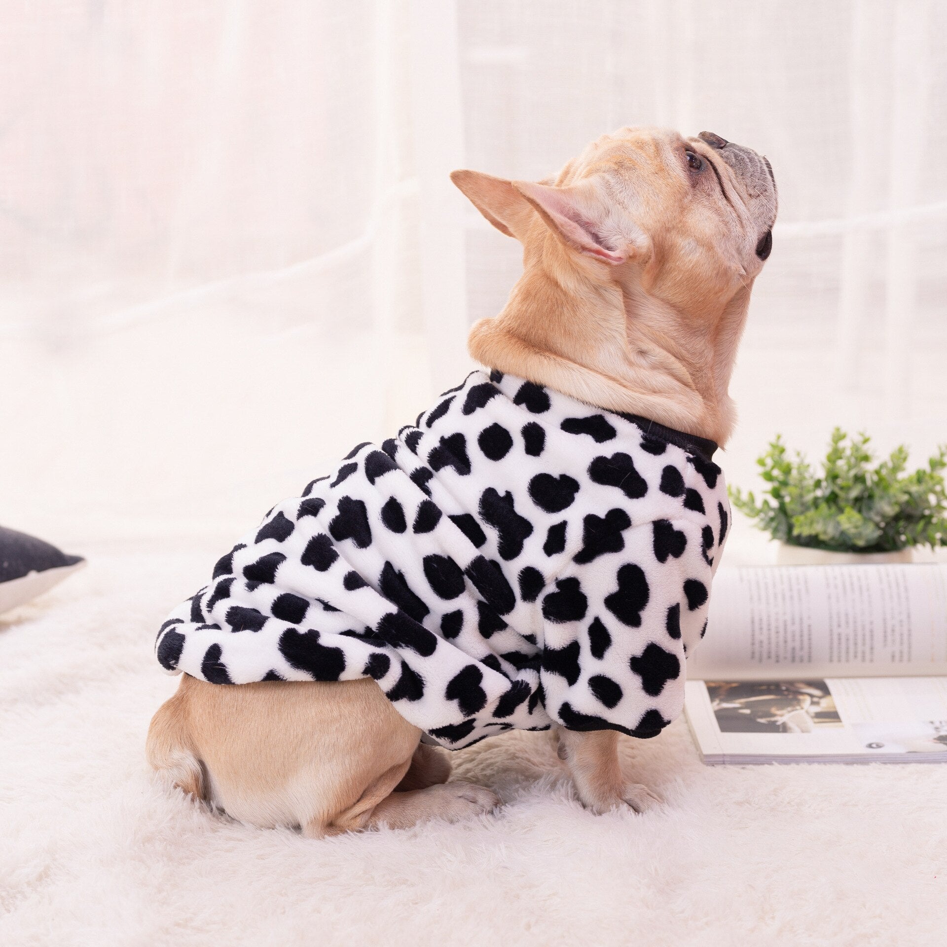 Dog Clothes Spot