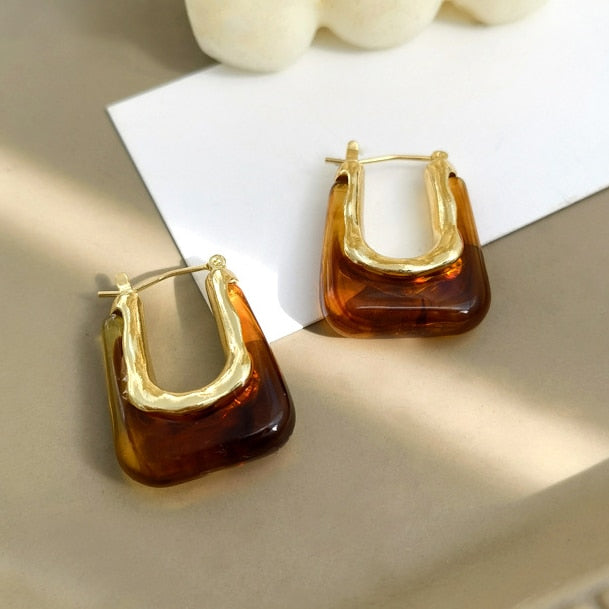 Dark Brown Transparent Resin Geometric Hoop Earrings