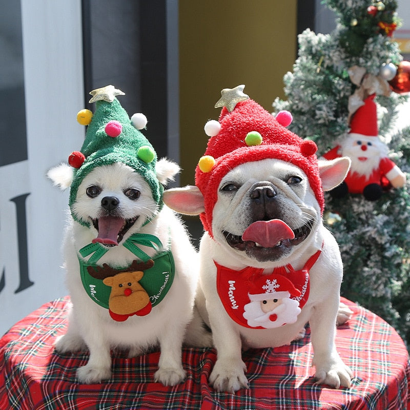 Christmas Costume