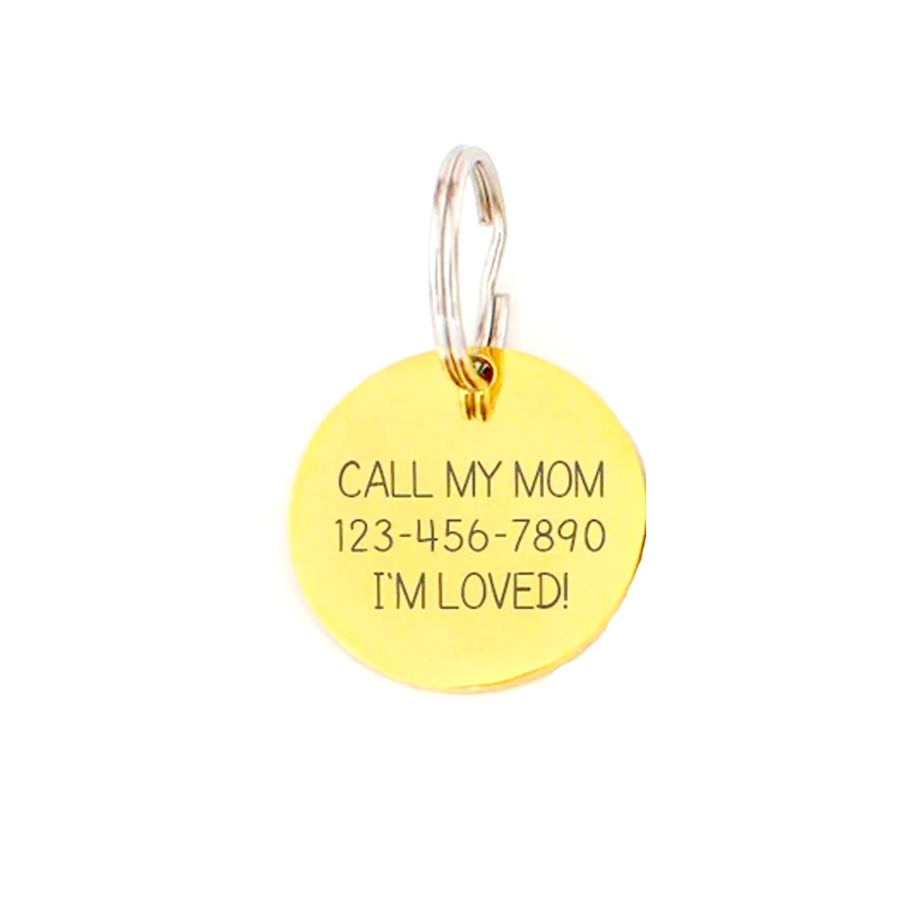 Custom Pet  Name ID Tag Collar