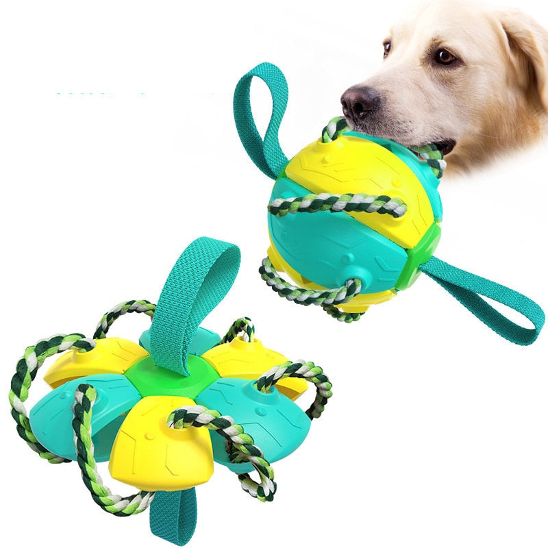 Dog UFO Feeder