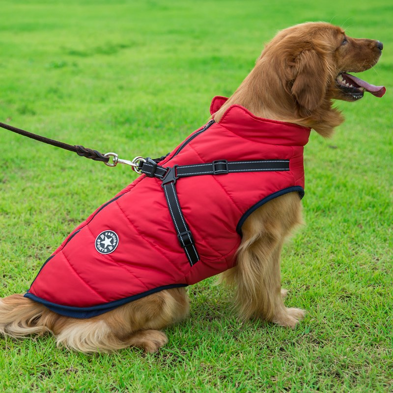 Large Pet Dog Jacket With Harness