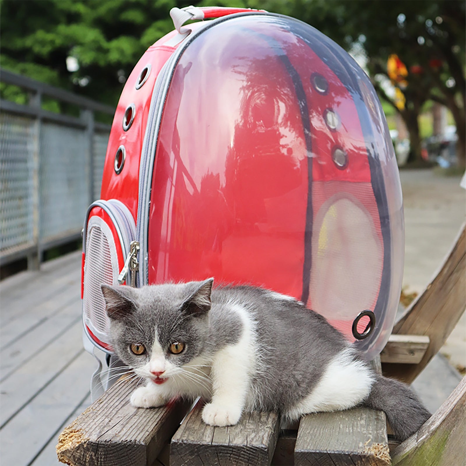 Breathable Outdoor Pet Carrier Bag