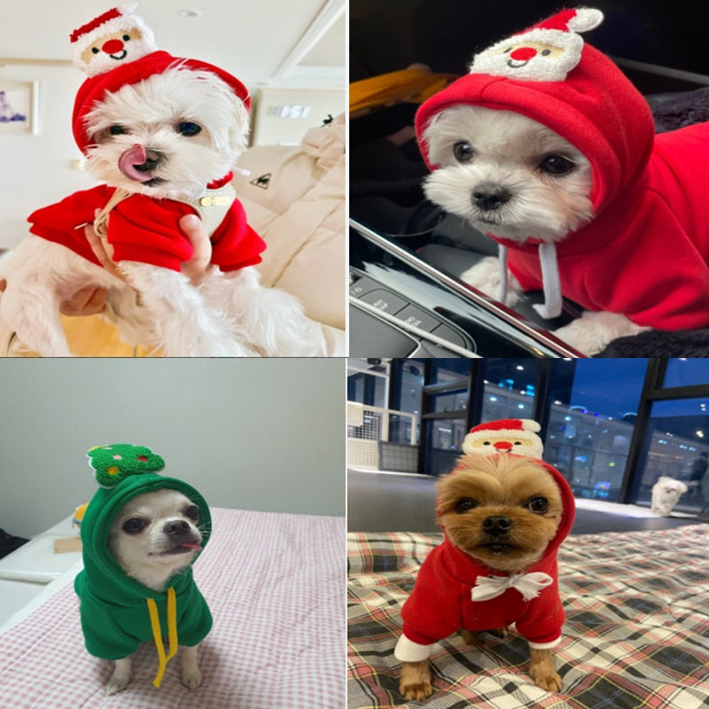 Christmas Pet Custome
