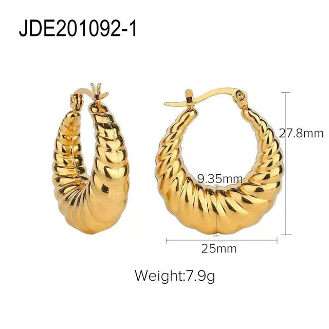 Chunky Hoop Earrings