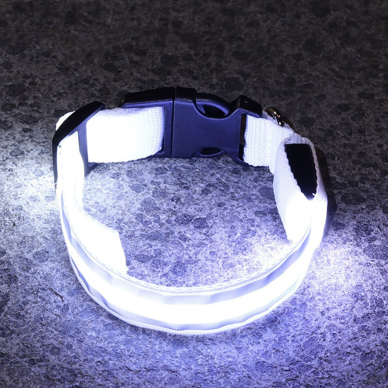 LED Glowing Dog Collar Adjustable Anti-Lost